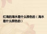 紅海的海水是什么顏色的（海水是什么顏色的）