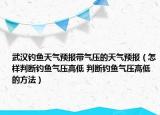 武漢釣魚天氣預(yù)報(bào)帶氣壓的天氣預(yù)報(bào)（怎樣判斷釣魚氣壓高低 判斷釣魚氣壓高低的方法）