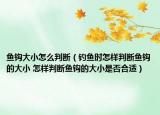 魚鉤大小怎么判斷（釣魚時怎樣判斷魚鉤的大小 怎樣判斷魚鉤的大小是否合適）