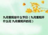 九月重陽(yáng)是什么節(jié)日（九月重陽(yáng)開什么花 九月重陽(yáng)開的花）