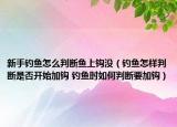 新手釣魚怎么判斷魚上鉤沒（釣魚怎樣判斷是否開始加鉤 釣魚時(shí)如何判斷要加鉤）