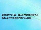 夏季釣魚氣壓表（夏天釣魚怎樣判斷氣壓高低 夏天釣魚如何判斷氣壓高低）