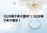3公分等于多少厘米?（3公分等于多少厘米）