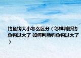 釣魚鉤大小怎么區(qū)分（怎樣判斷釣魚鉤過大了 如何判斷釣魚鉤過大了）