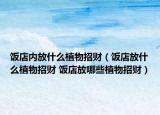 飯店內(nèi)放什么植物招財(cái)（飯店放什么植物招財(cái) 飯店放哪些植物招財(cái)）