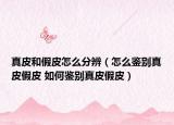 真皮和假皮怎么分辨（怎么鑒別真皮假皮 如何鑒別真皮假皮）