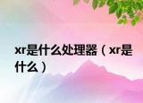 xr是什么處理器（xr是什么）