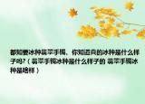 都知要冰種翡翠手鐲、你知道真的冰種是什么樣子嗎?（翡翠手鐲冰種是什么樣子的 翡翠手鐲冰種是啥樣）