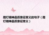 路燈精神品質(zhì)象征意義的句子（路燈精神品質(zhì)象征意義）