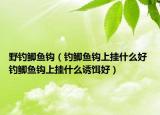 野釣鯽魚鉤（釣鯽魚鉤上掛什么好 釣鯽魚鉤上掛什么誘餌好）
