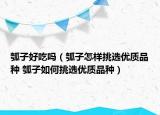 瓠子好吃嗎（瓠子怎樣挑選優(yōu)質(zhì)品種 瓠子如何挑選優(yōu)質(zhì)品種）