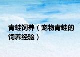 青蛙飼養(yǎng)（寵物青蛙的飼養(yǎng)經(jīng)驗(yàn)）