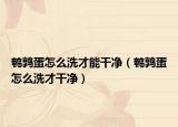 鵪鶉蛋怎么洗才能干凈（鵪鶉蛋怎么洗才干凈）