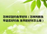 怎樣識別釣魚竿好壞（怎樣判斷魚竿是否好釣魚 魚竿的好壞怎么看）