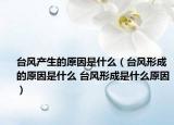臺風產(chǎn)生的原因是什么（臺風形成的原因是什么 臺風形成是什么原因）