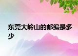 東莞大嶺山的郵編是多少