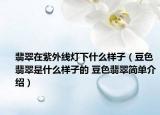翡翠在紫外線燈下什么樣子（豆色翡翠是什么樣子的 豆色翡翠簡單介紹）