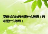 靈魂?duì)顟B(tài)的藥老是什么等級（藥老是什么等級）