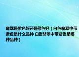翡翠是紫色好還是綠色好（白色翡翠中帶紫色是什么品種 白色翡翠中帶紫色是哪種品種）