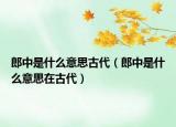 郎中是什么意思古代（郎中是什么意思在古代）