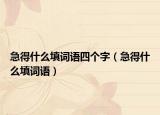 急得什么填詞語四個(gè)字（急得什么填詞語）