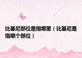 比基尼部位是指哪里（比基尼是指哪個部位）