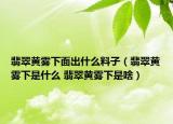 翡翠黃霧下面出什么料子（翡翠黃霧下是什么 翡翠黃霧下是啥）
