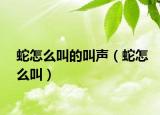 蛇怎么叫的叫聲（蛇怎么叫）