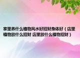 家里養(yǎng)什么植物風(fēng)水好招財身體好（店里植物放什么招財 店里放什么植物招財）
