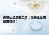 孤篇壓全唐的美譽(yù)（孤篇壓全唐是哪首詩）