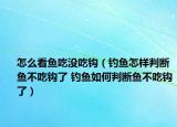 怎么看魚吃沒吃鉤（釣魚怎樣判斷魚不吃鉤了 釣魚如何判斷魚不吃鉤了）
