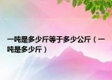 一噸是多少斤等于多少公斤（一噸是多少斤）