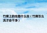竹席上的蟲是什么蟲（竹席怎么洗才會(huì)干凈）