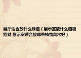 展廳適合放什么綠植（展示室放什么植物招財(cái) 展示室適合放哪些植物風(fēng)水好）