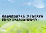 鱈魚是海魚還是淡水魚（淡水魚冬天怎樣長期保存 淡水魚冬天如何長期保存）