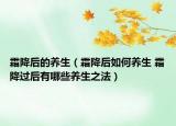 霜降后的養(yǎng)生（霜降后如何養(yǎng)生 霜降過后有哪些養(yǎng)生之法）
