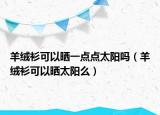羊絨衫可以曬一點(diǎn)點(diǎn)太陽(yáng)嗎（羊絨衫可以曬太陽(yáng)么）
