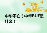 中華不亡（中華BUF是什么）