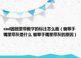 cad圓圈里帶數(shù)字的標(biāo)注怎么畫（翡翠手鐲里帶灰是什么 翡翠手鐲里帶灰的原因）