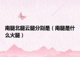 南腿北腿云腿分別是（南腿是什么火腿）