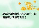 夏天垃圾桶有小飛蟲怎么辦（垃圾桶有小飛蟲怎么辦）