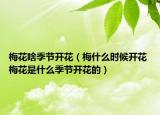 梅花啥季節(jié)開花（梅什么時(shí)候開花 梅花是什么季節(jié)開花的）
