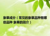 象草成分（常見的象草品種有哪些品種 象草的簡介）