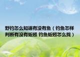 野釣怎么知道有沒有魚（釣魚怎樣判斷有沒有蚯蚓 釣魚蚯蚓怎么找）