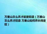 萬(wàn)重山怎么養(yǎng)才能更旺盛（萬(wàn)重山怎么養(yǎng)才旺盛 萬(wàn)重山如何養(yǎng)長(zhǎng)得更旺）