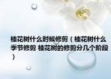 桂花樹(shù)什么時(shí)候修剪（桂花樹(shù)什么季節(jié)修剪 桂花樹(shù)的修剪分幾個(gè)階段）