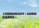 土到極致的網(wǎng)名四字（仙到極致的溫柔網(wǎng)名）