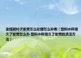金錢樹葉子發(fā)黃怎么處理怎么補(bǔ)救（塑料水杯用久了發(fā)黃怎么辦 塑料水杯用久了發(fā)黃的清潔方法）