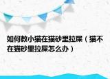 如何教小貓?jiān)谪埳袄锢海ㄘ埐辉谪埳袄锢涸趺崔k）