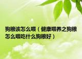 狗糧該怎么喂（健康喂養(yǎng)之狗糧怎么喂吃什么狗糧好）